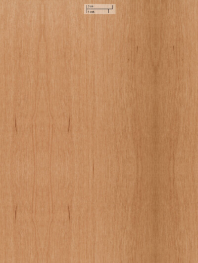 Oberflex Alder