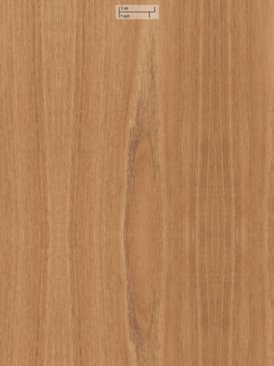 Шпон Oberflex American Elm