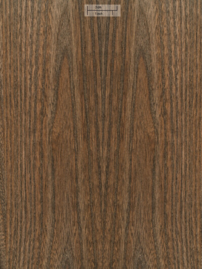 Шпон Oberflex American Elm T326
