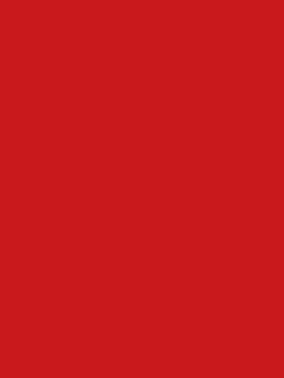 Mandarin Red 1511-60