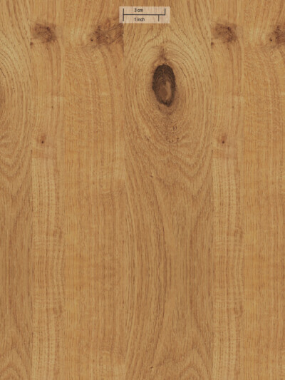 Шпон Knotty Oak
